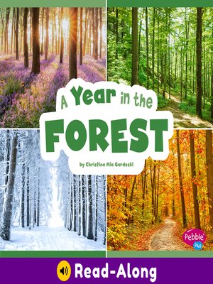 cover image of A Year in the Forest